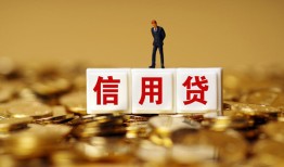 成都邛崃市哪里可以民间借贷-成都邛崃市私人借钱当天拿钱-成都邛崃市贷款联系电话
