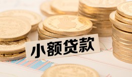 成都邛崃市民间私人借贷-成都邛崃市民间借贷款-成都邛崃市短期借款